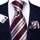 Men's Striped Silk Tie Set 5